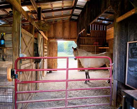 Horse Farms For Sale